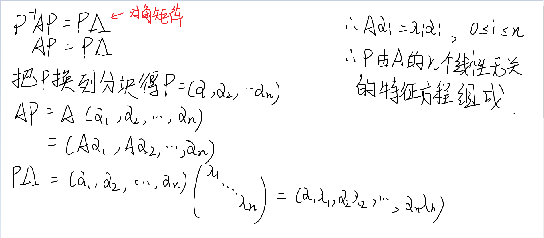 P的组成